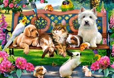 Pets in the Park