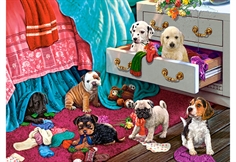 Puppies in the Bedroom