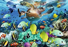Underwater Paradise