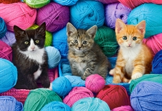 Kittens in Yarn Store