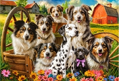 Happy Dogs In The Countryside