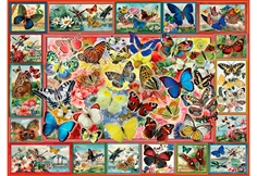 Lots of Butterflies