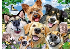Selfies - Dogs' Delight
