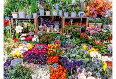 Flower Market, France