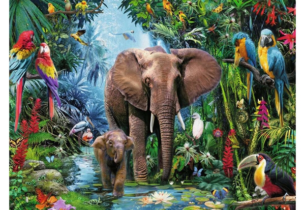 Safari Animals