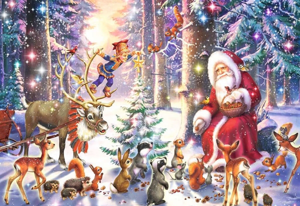 Christmas in the Forest