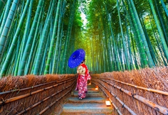 Asian Woman in Bamboo Forest