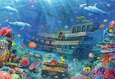 Underwater Discovery