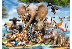 African Friends