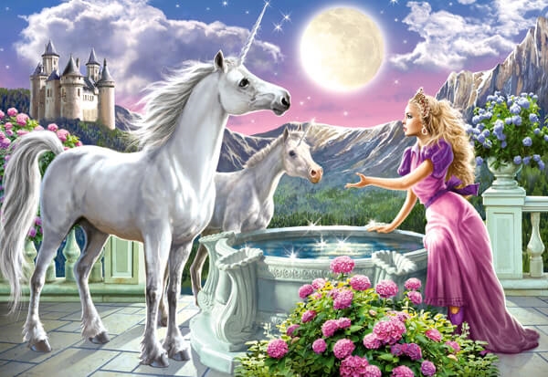 Princess and her Unicorn