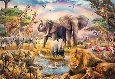 African Safari