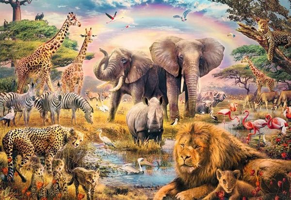African Safari
