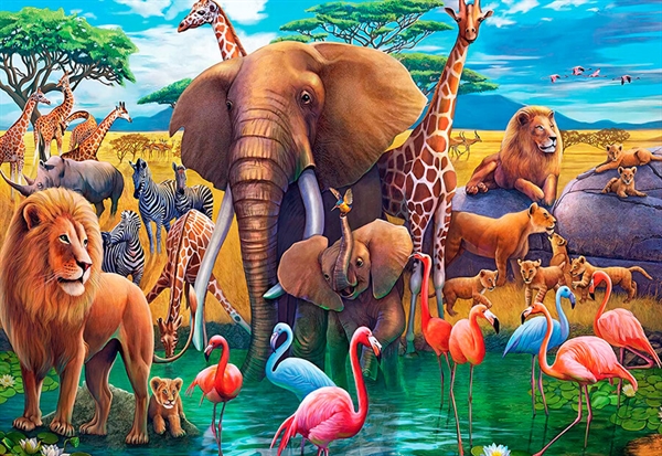 Exotic Safari
