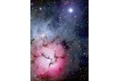 The Trifid Nebula