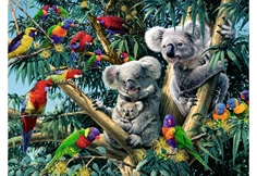 Koalas in Tree