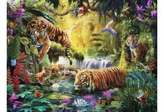 Tranquil Tigers