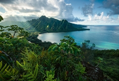 Hawaiian Viewpoint