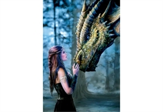 Anne Stokes - Once upon a Time