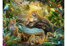 Leopards in the Jungle