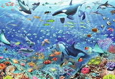 Colourful Underwater World
