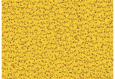 Pikachu Challenge