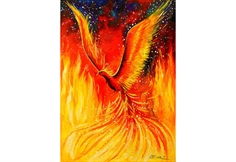 Phoenix Bird