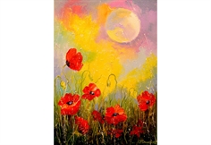 Poppies in the Moonlight