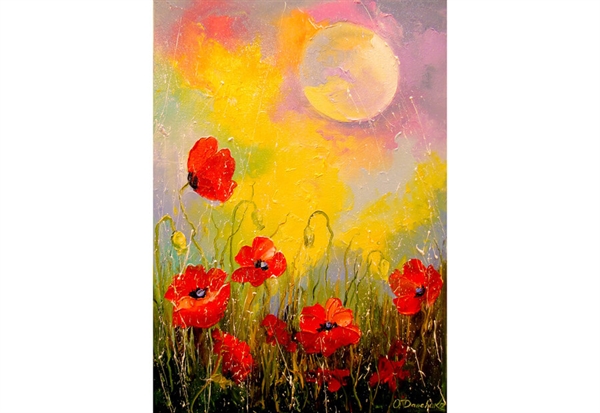Poppies in the Moonlight