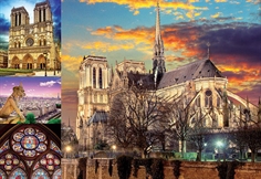 Notre Dame Collage 