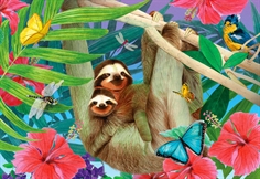 Sweet Sloths