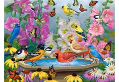 Rhythm of Nature