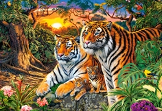 Tiger Family