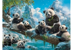 Pandas' Winter Fun