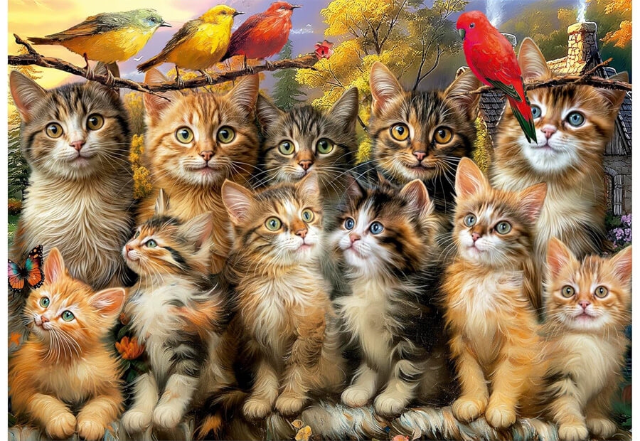Kittens and Birds