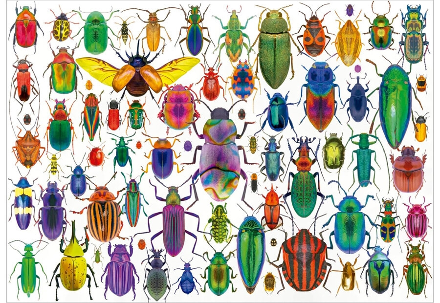 Beetles