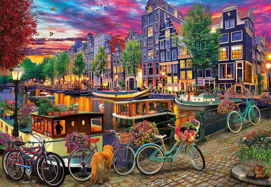 Biking in Amsterdam