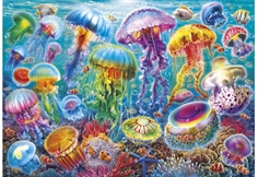 Jellyfish