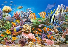 Colours of the Ocean