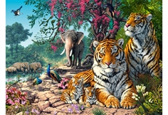 Tiger Sanctuary