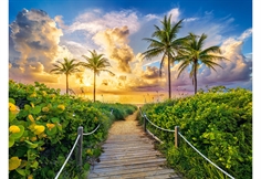 Colorful Sunrise in Miami, USA