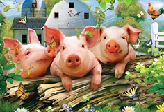 Three Li'l Pigs