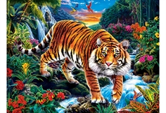 Stalking Tiger