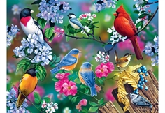 Songbird Collage