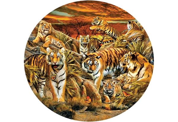 Tigers Galore (rundt)