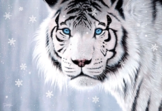 Crystal Eyes