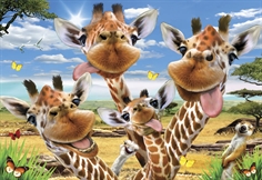Giraffe Selfie
