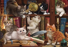 Kittens in the Library