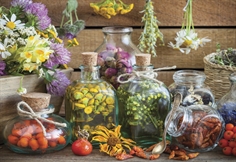 Herbal Therapy