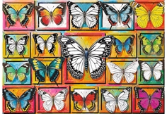 Puzzle Creative - Butterfly Collection