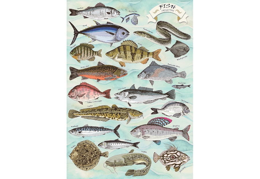 Finders Keepers: Fish